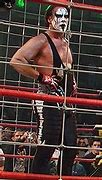 Image result for Sting Wrestler