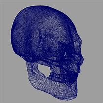 Image result for Human Skull 3D Model Wireframe Abstract