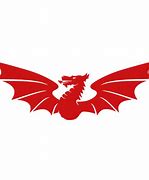 Image result for Scarlets Rugby Chidren Girls