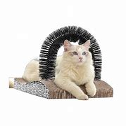 Image result for Cat Scratching Board