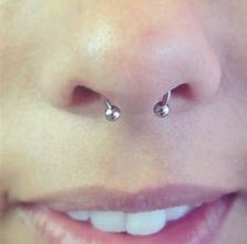 Image result for Cute Septum Piercing Nose