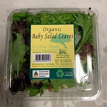 Image result for Salad Pack