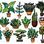 Image result for Planting Shrubs