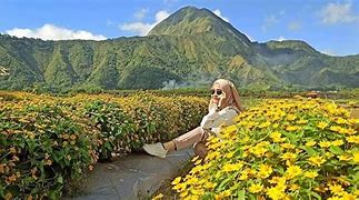 Image result for Wisata Di Sembalun