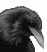 Image result for Goofy Raven Imgages