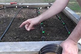 Image result for Drip Irrigation System Installation