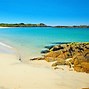 Image result for Isle of Coll Grapevine