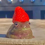 Image result for Frog PFP