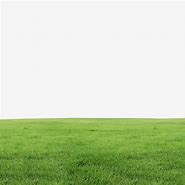 Image result for Background Rumput 3X1