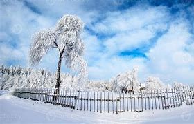 Image result for Winter Landscape in the Mountains