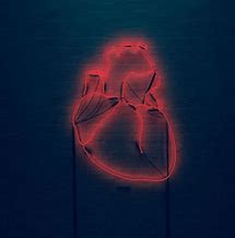 Image result for M Neon with Hart