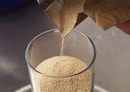 Image result for Yeast for Beer