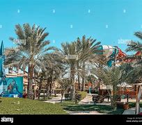 Image result for Yas Water Theme Park