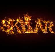 Image result for Sign by Skylar