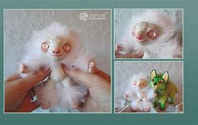 Image result for Albino Baby Sloth