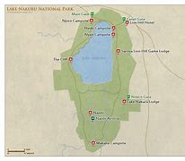 Image result for Lake Nakuru Park