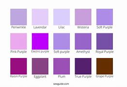 Image result for Purple Toile