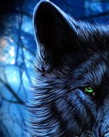 Image result for Snow Wolf Blue Eyes