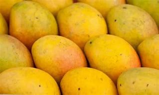 Image result for Ripe Mango Powder