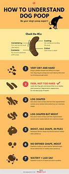 Image result for Know Your Poop Chart