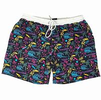 Image result for Retro Swim Trunks