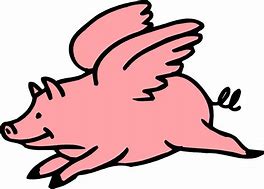 Image result for Flying Pig Anime