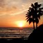 Image result for Newport Beach Walk