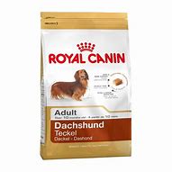 Image result for Royal Canin Dachshund