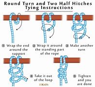 Image result for Butterfly Hitch Knot