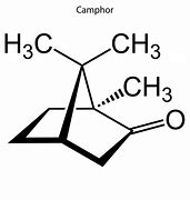 Image result for Camphor Chemical Structure