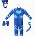 Image result for PJ Masks Cat Boy Costume