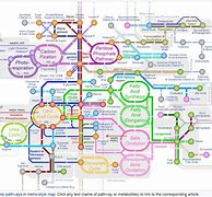 Image result for Cell Pathways Chart