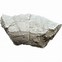 Image result for Turtle Shell Fossil