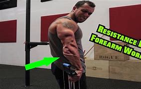 Image result for Forarms Workout