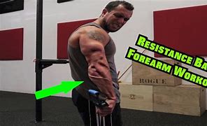 Image result for Forarms Workout