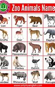 Image result for Animals That Live in the Zoo