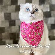 Image result for How to Make a Cat Bandana