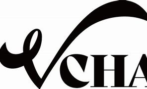 Image result for Vcha Kpop Logo