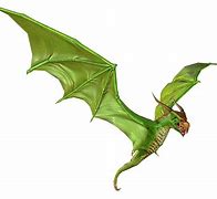 Image result for Bat vs Dragon