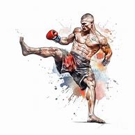 Image result for MMA Fighter Art