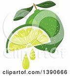 Image result for Lime Wedge Clip Art