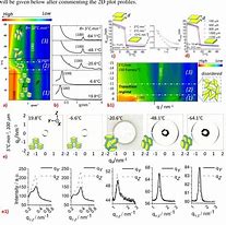 Image result for Self-Assembly Hydrogel