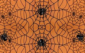 Image result for Halloween Spider Web Background