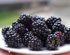 Image result for 100 Grams of Blackberries