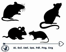 Image result for Money Rat SVG