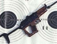 Image result for Gepard PDW