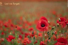 Image result for We Remember Them Song