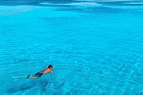 Image result for Snorkel in the Sea