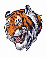 Image result for Tiger Head Shape Side