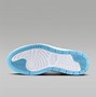 Image result for Air Jordan Dunks